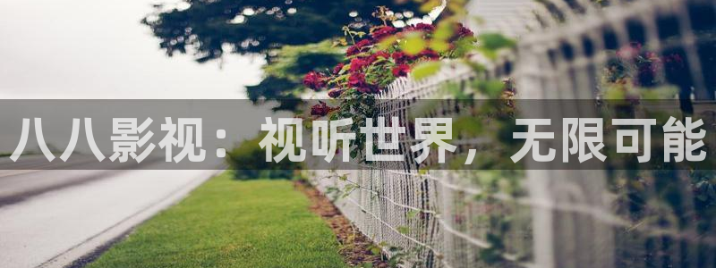 午夜被窝电影网