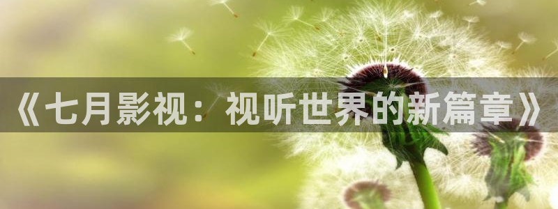 被窝影院午夜片